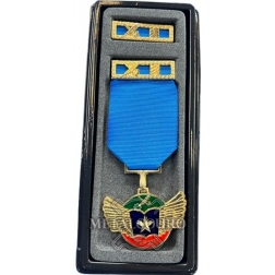 CONJUNTO MEDALHA MÉRITO INTELECTUAL ALUNO CEPMG